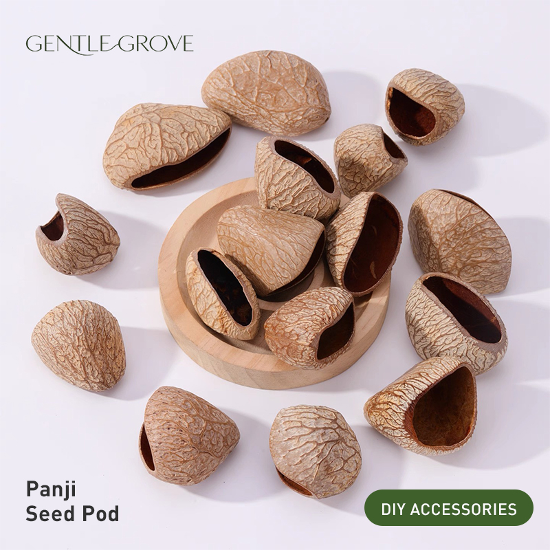 Natural Seed Pods